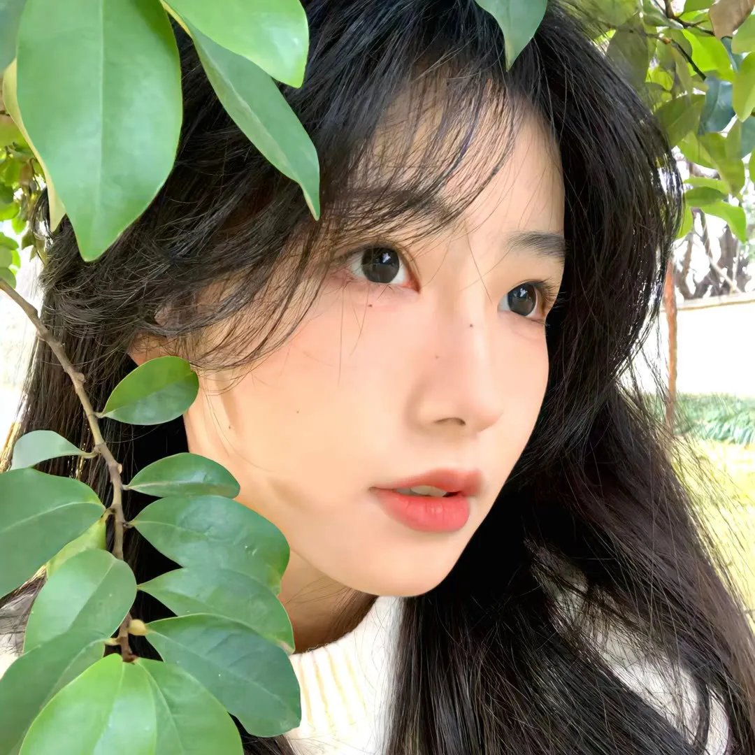 贝拉的魔法